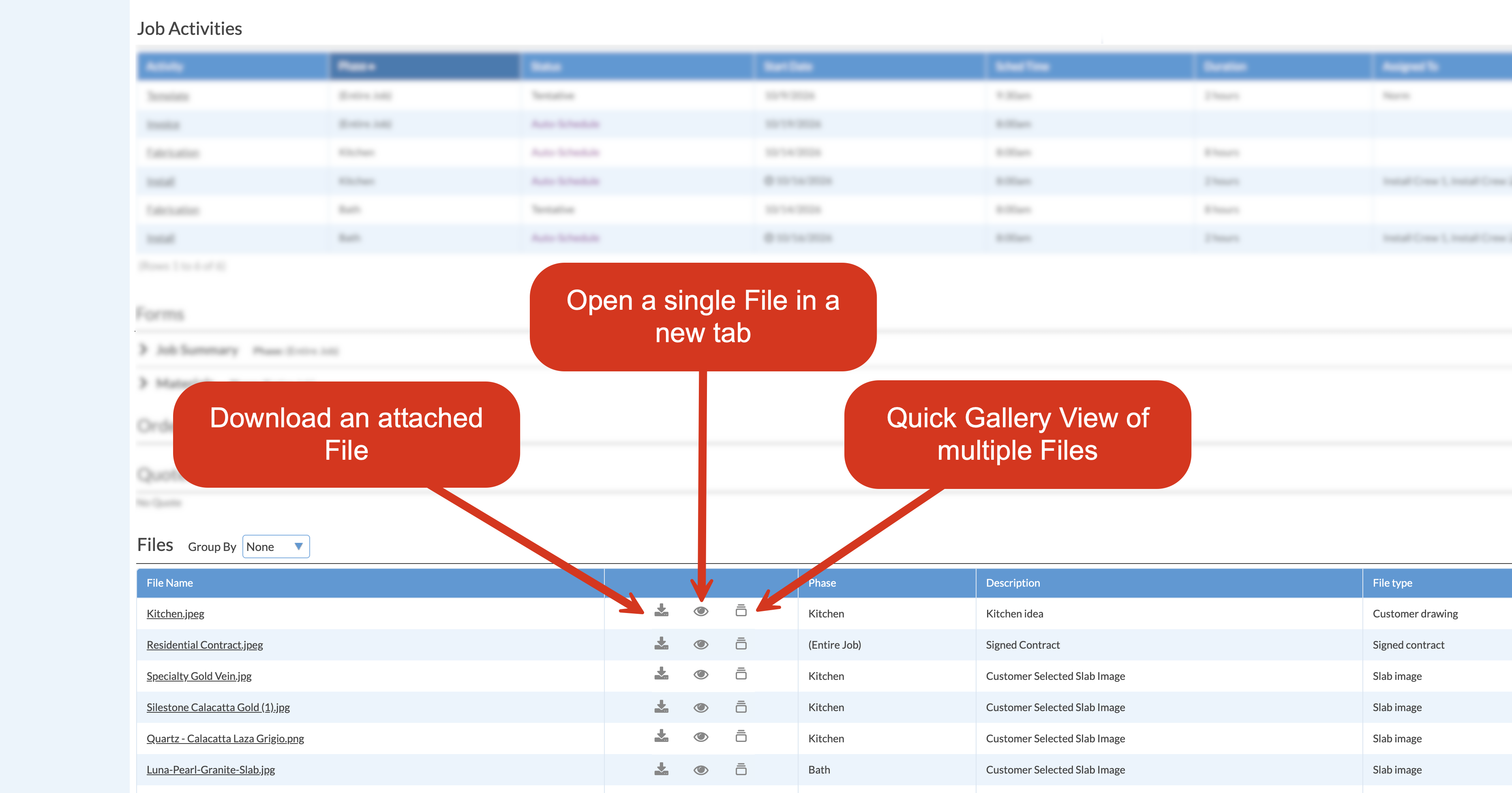 view attached files in systemize